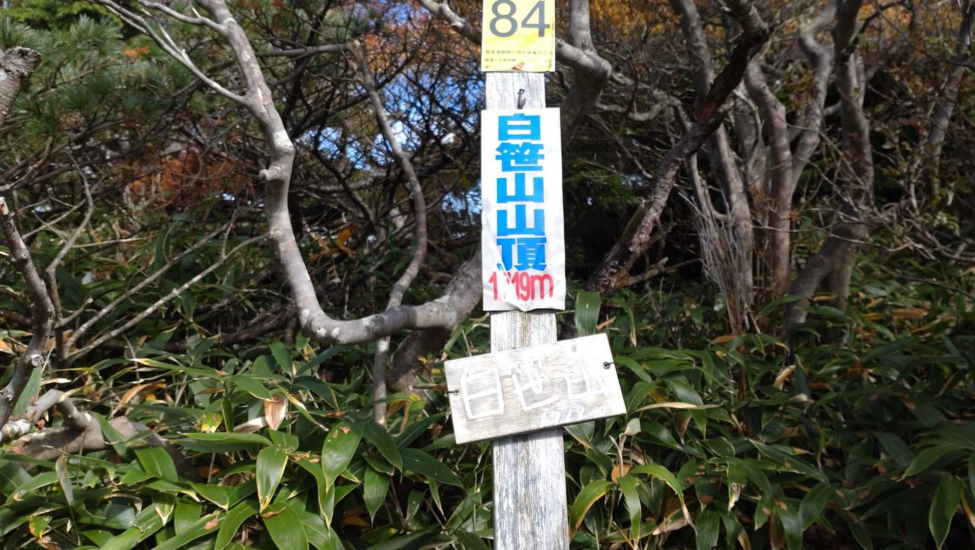 だいぶ時間をかけて登頂しました。
体調もイマイチなので、引き返すことも考えましたが取り敢えず南月山へ向かうことに。