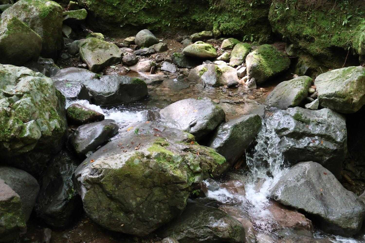 渡渉したら分岐です
沢コースは帰りに歩くので右側のルートへ