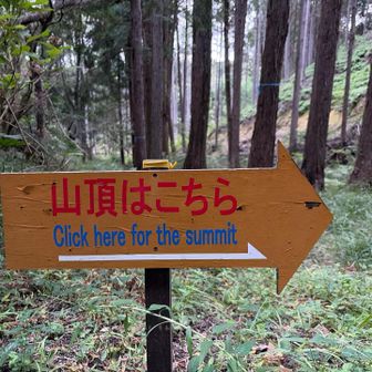 クリックすれば山頂へ跳べるらしい🤣🤣🤣