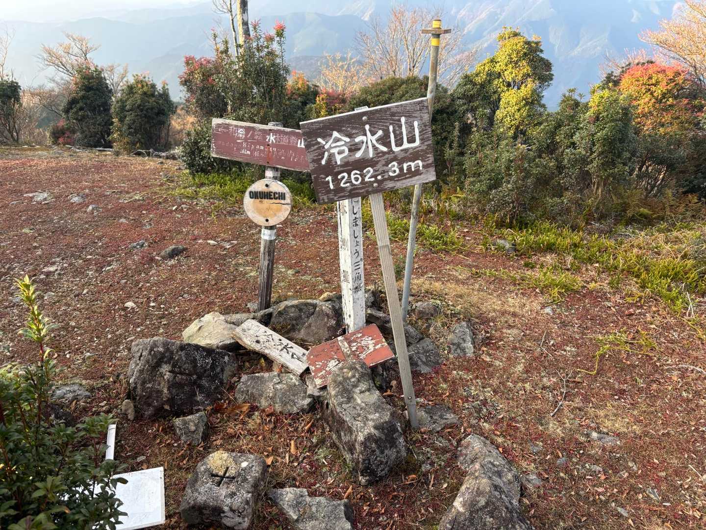 やっと来ました！という感じ
