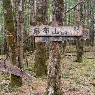 麻布山🙌