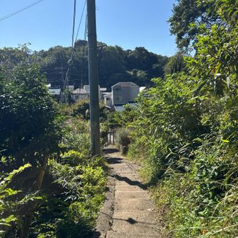 ハイキングコース終了ー。
大仏切り通しへ。