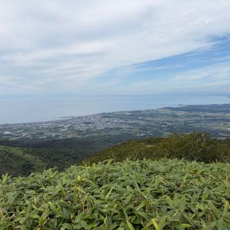 ここからの夜景見たいなー🌉