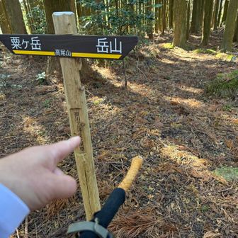 天狗岩🪨への案内が無くなっていますね