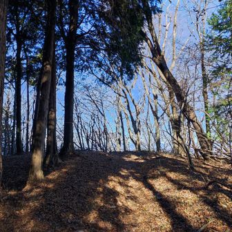 ピークに到着です