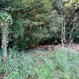 下山ははち巻回遊山道へ