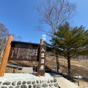 山頂駅から15分ほど？で入笠湿原へ。
湿原を見学しつつ進みます。南アルプスで湿原があるのは珍しいらしい