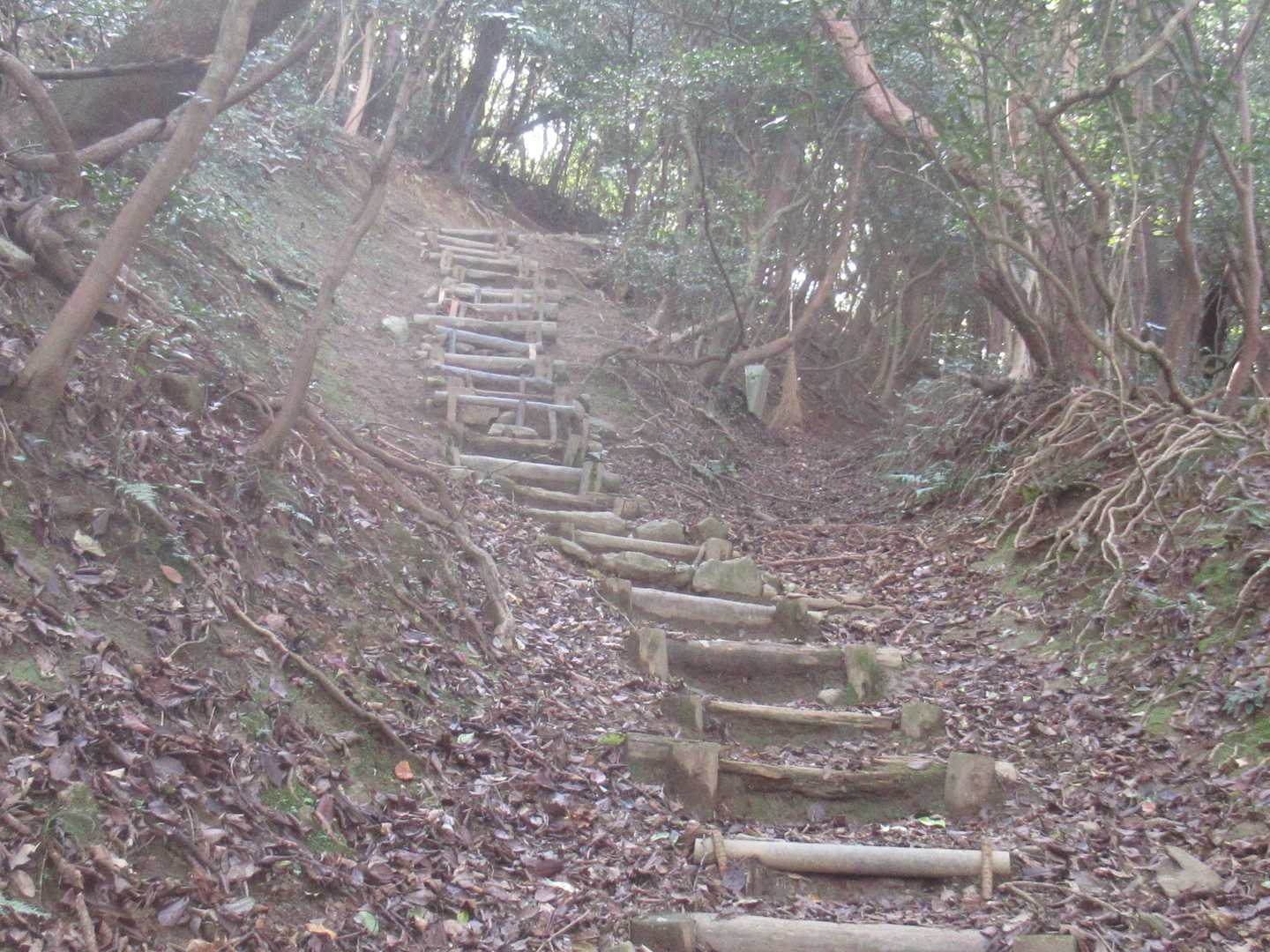 結構キツい