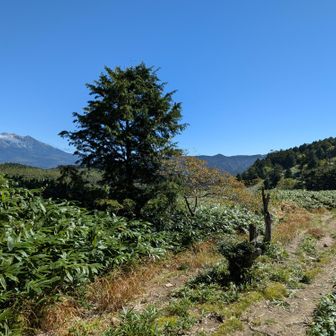 疲れ果てたころに御嶽山どーん！