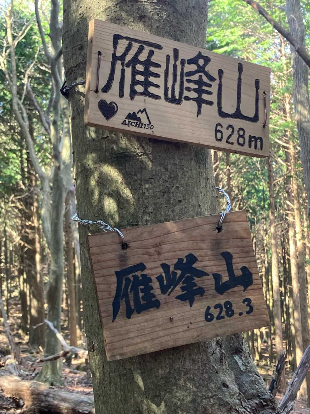 山頂に来れて良かったです🤭