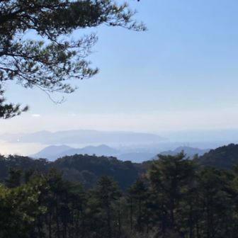 天上寺からの景色
雰囲気があります