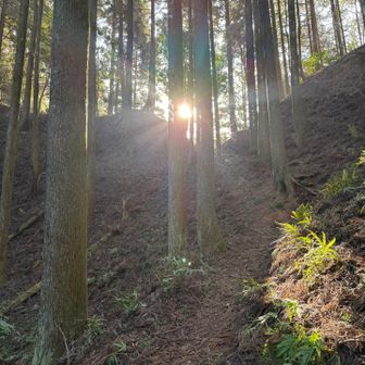 木漏れ日が心地良いですね👍