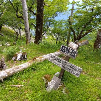 西峰の山頂⛰️