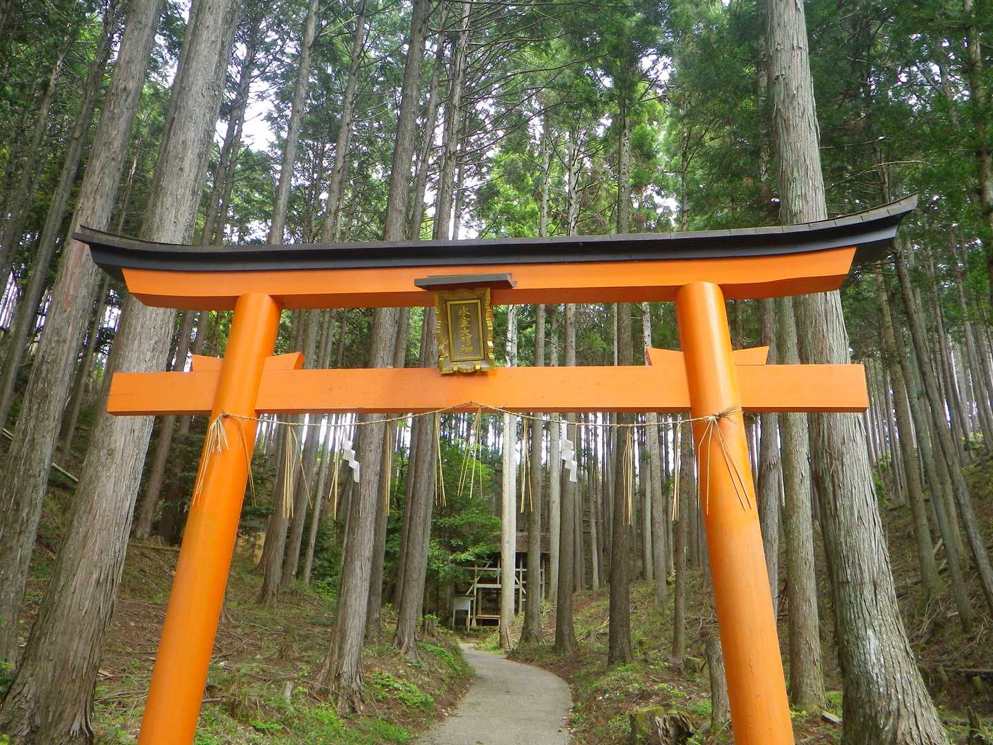 ポイント-京見峠-釈迦谷山-鷹峯源光庵前バス停 縦走コースの写真
