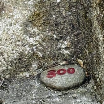 300段目の印。かわいい。