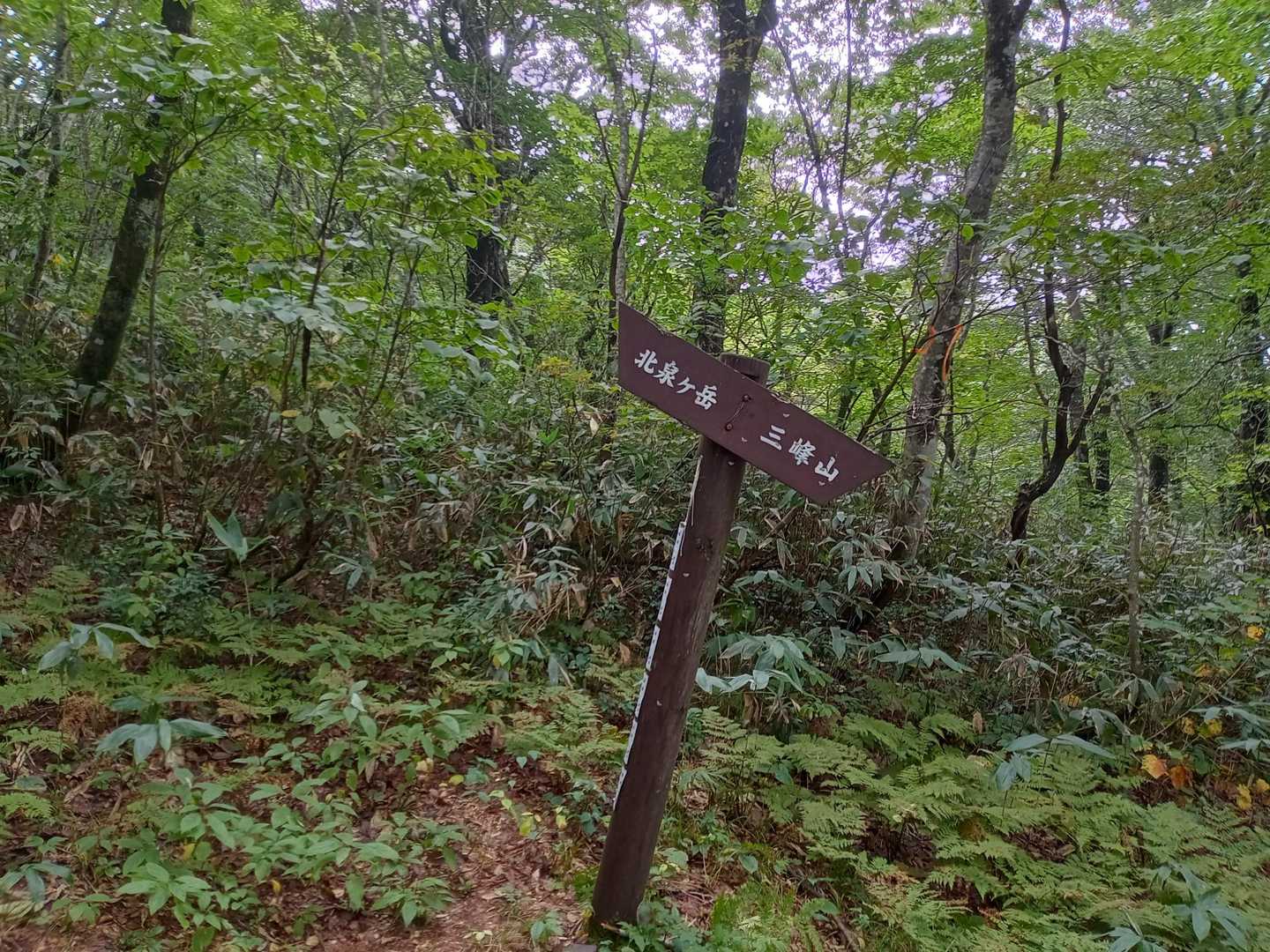 北泉ヶ岳へ⤴️⤴️
山頂では本日見かけた唯一の登山者さんがランチ中だったので写真撮らず😆