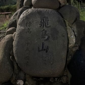 飛鳥山25.4m😁