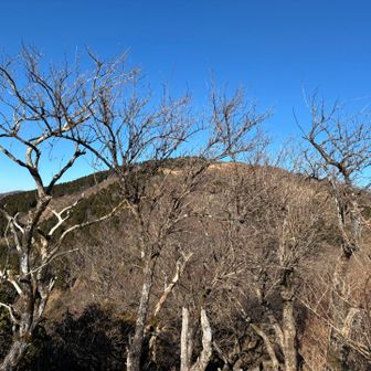 次のランドマーク、三ノ塔。