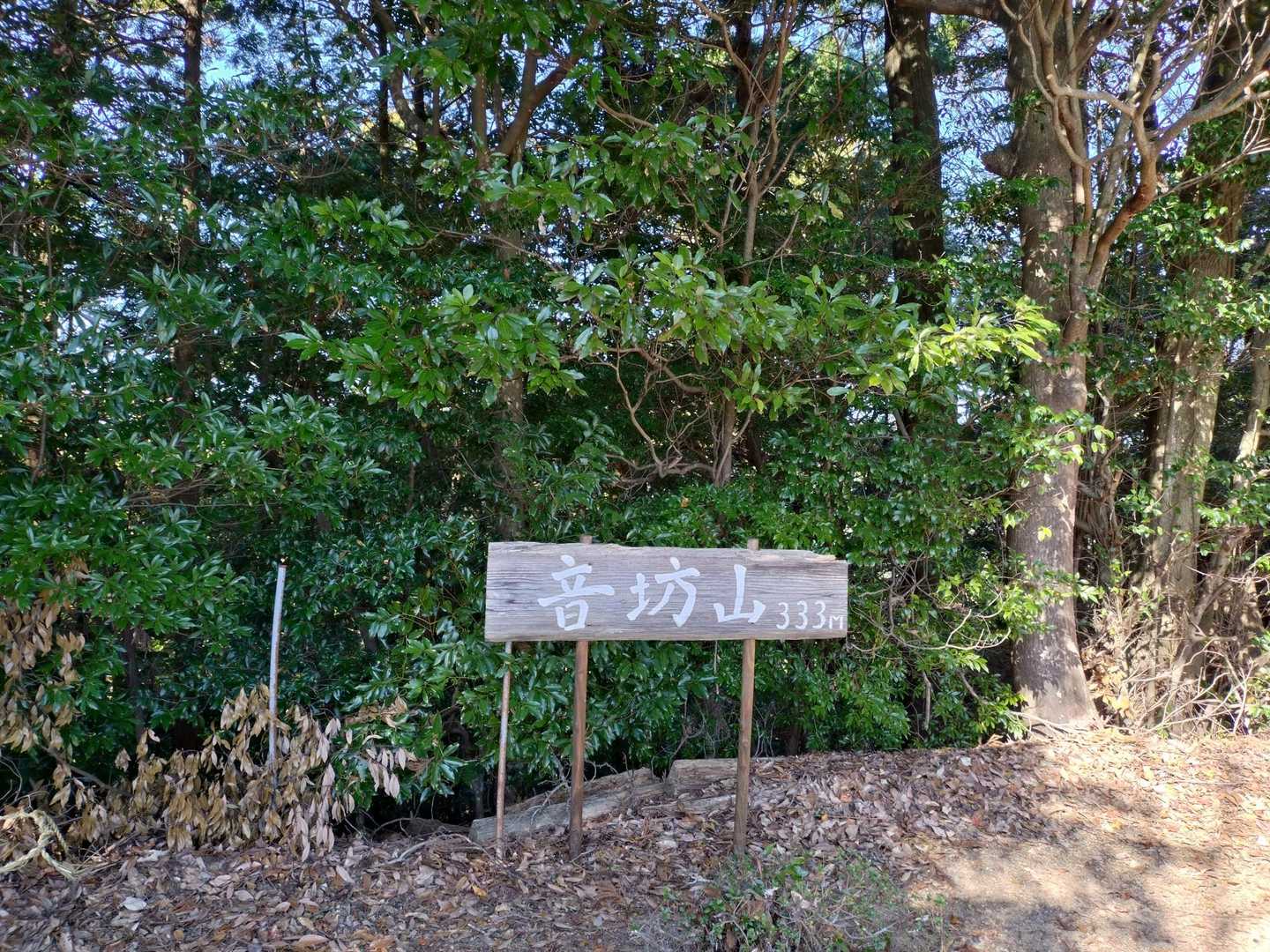 大根峠-音坊山 往復コースの写真