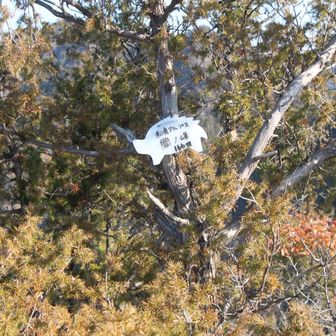 間ノ峰　標識⑦