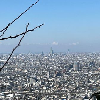 あべのハルカス見えます