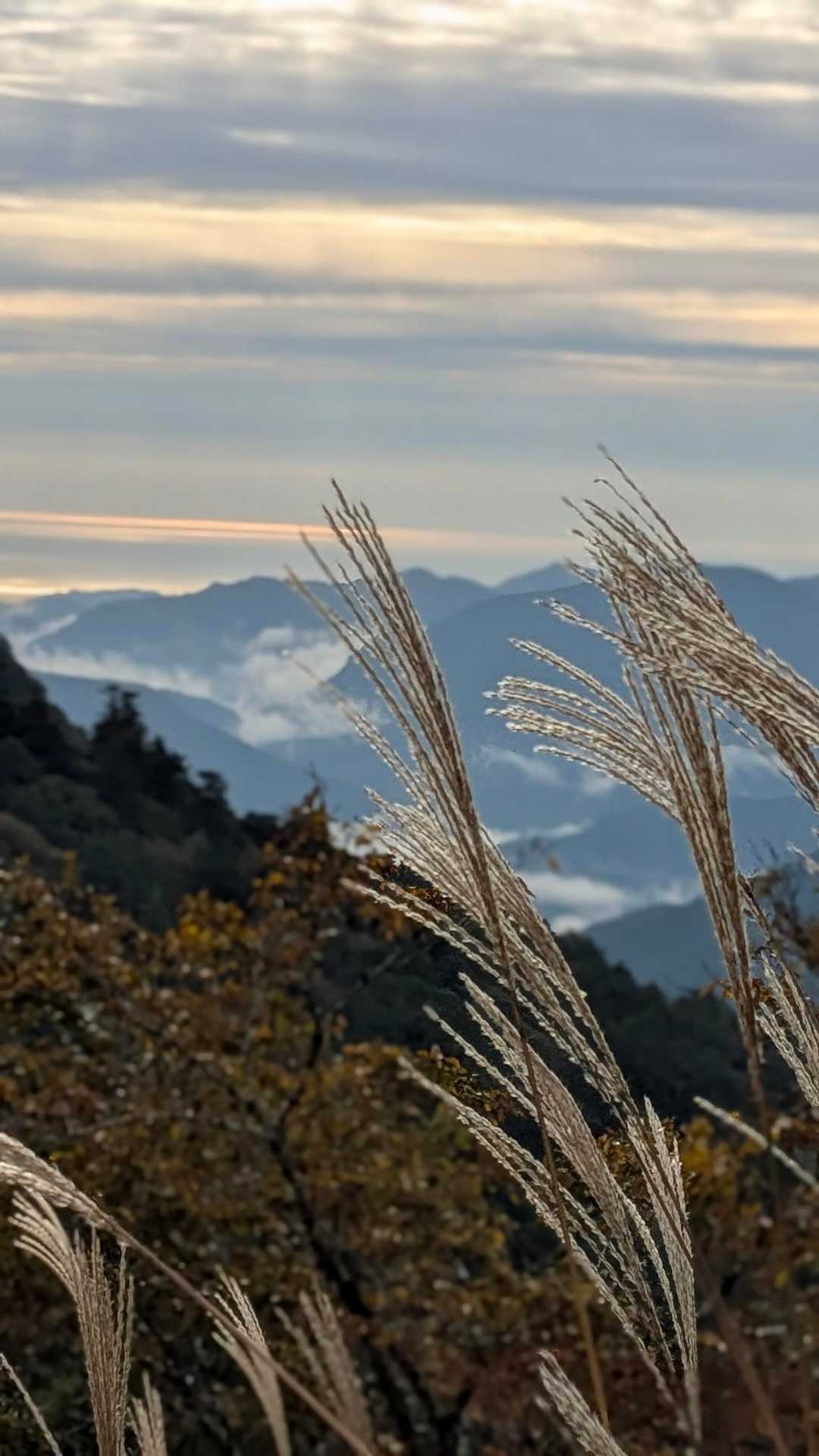 玉置山山頂から