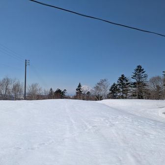 羊蹄みえてきた