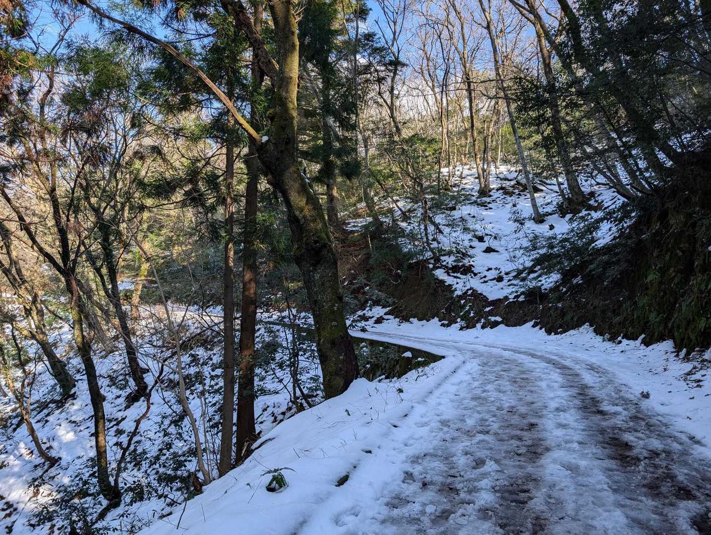 本陣山 往復コースの写真