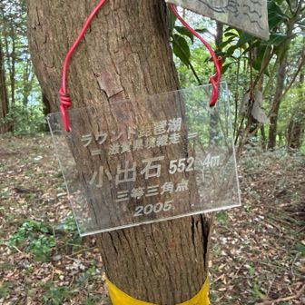 小出石は魚ノ子の別名でしょうか🤔