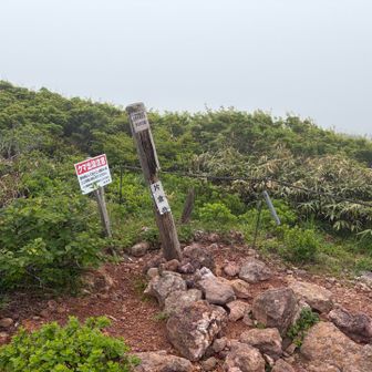 片倉岳
本当は展望が良いのに😢