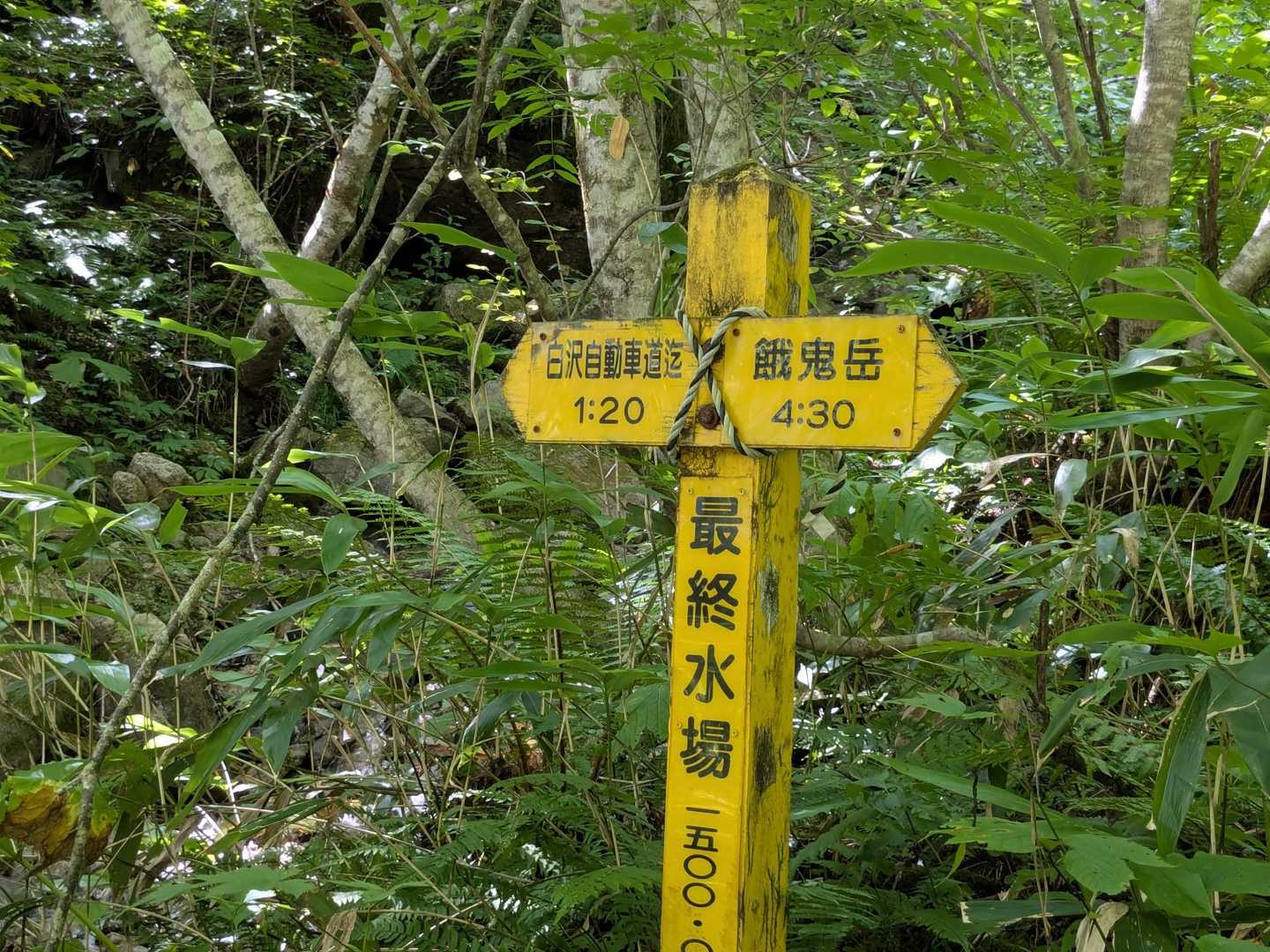 最終水場に到着
山頂まであと4時間半
ここから激急登が始まります