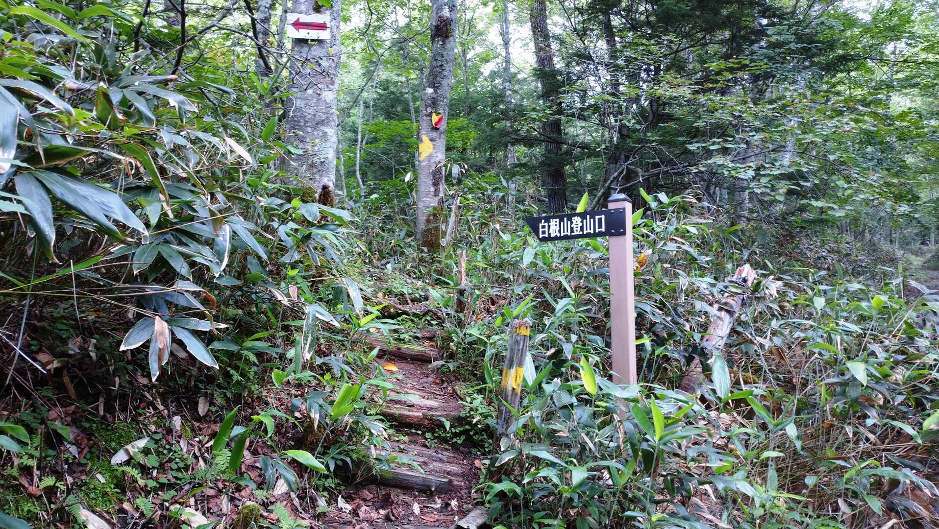 登山口
湯元バス停から、約１㎞