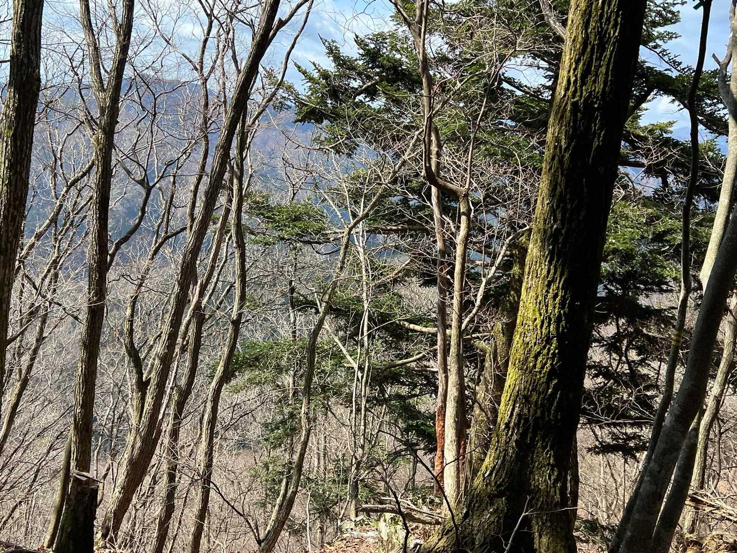 天狗城-松宇土 往復コースの写真