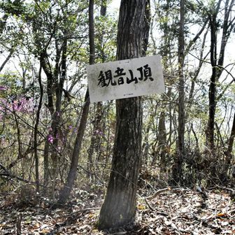 　　　　⛰️観音山　191m
南に進むと→龍王山→細尾山……瀬戸駅