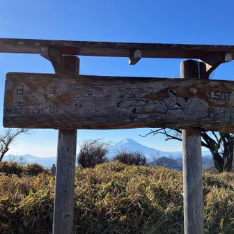 丹沢山に着いた、カレー🍛難民になった