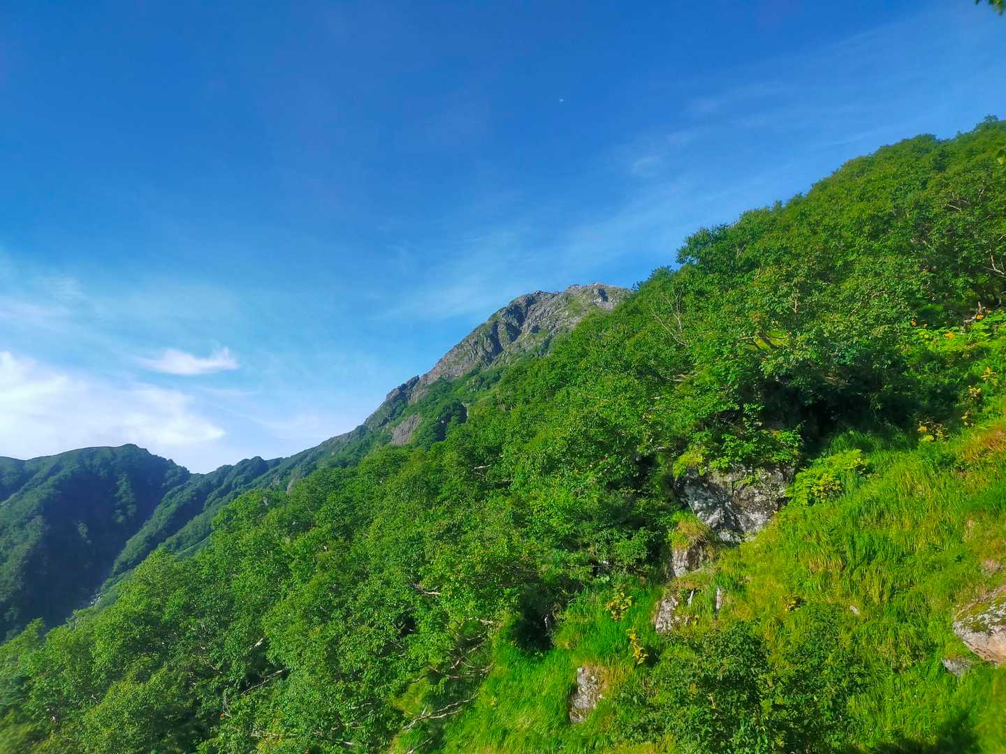 下山してたら、北岳晴れてた😅
