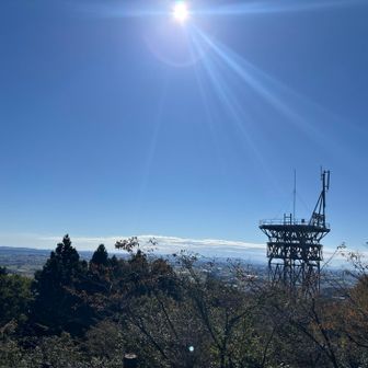 いい天気〜☀️