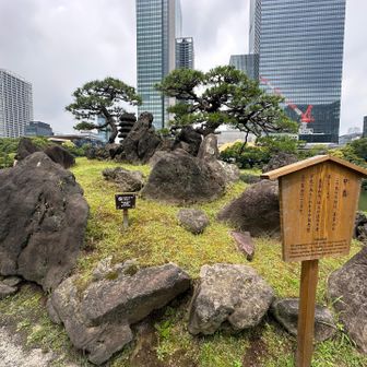 中島〜⤴︎