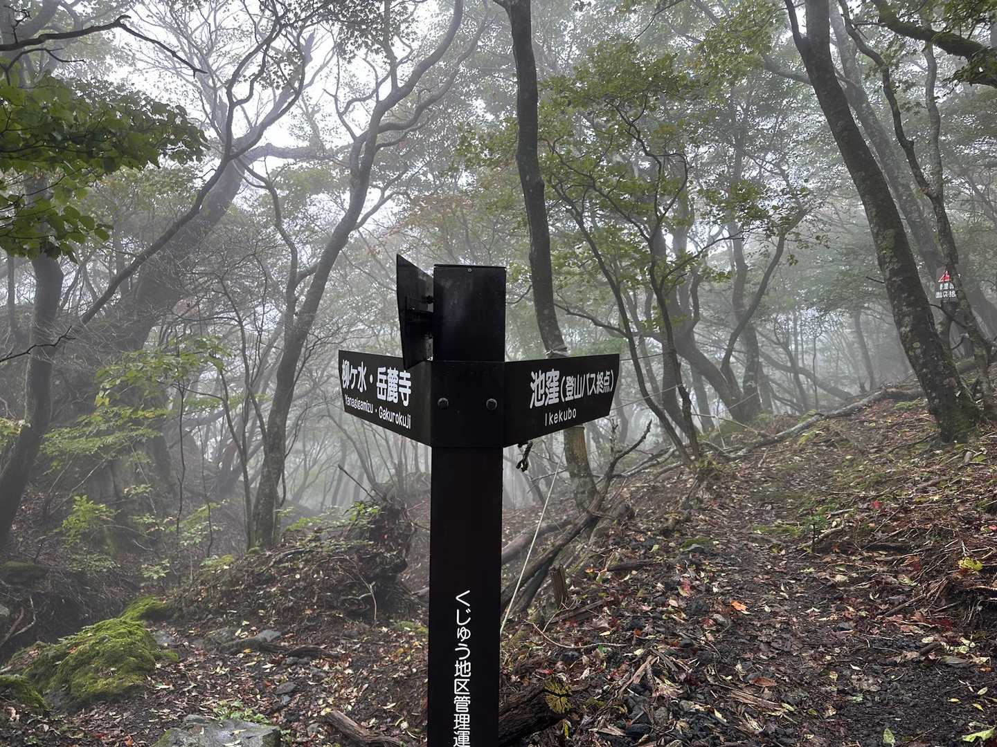 分岐↗️
間違えないように😉