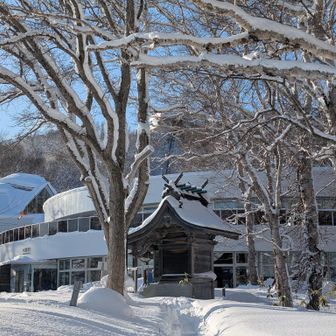 父は願掛けしかできないが🙏
ガンバレ🈴