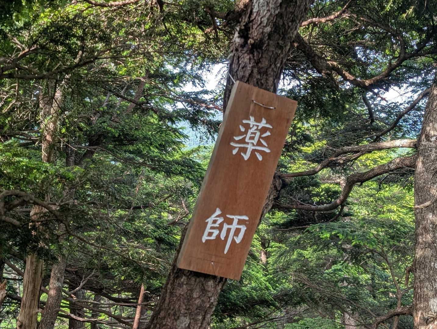 薬師！