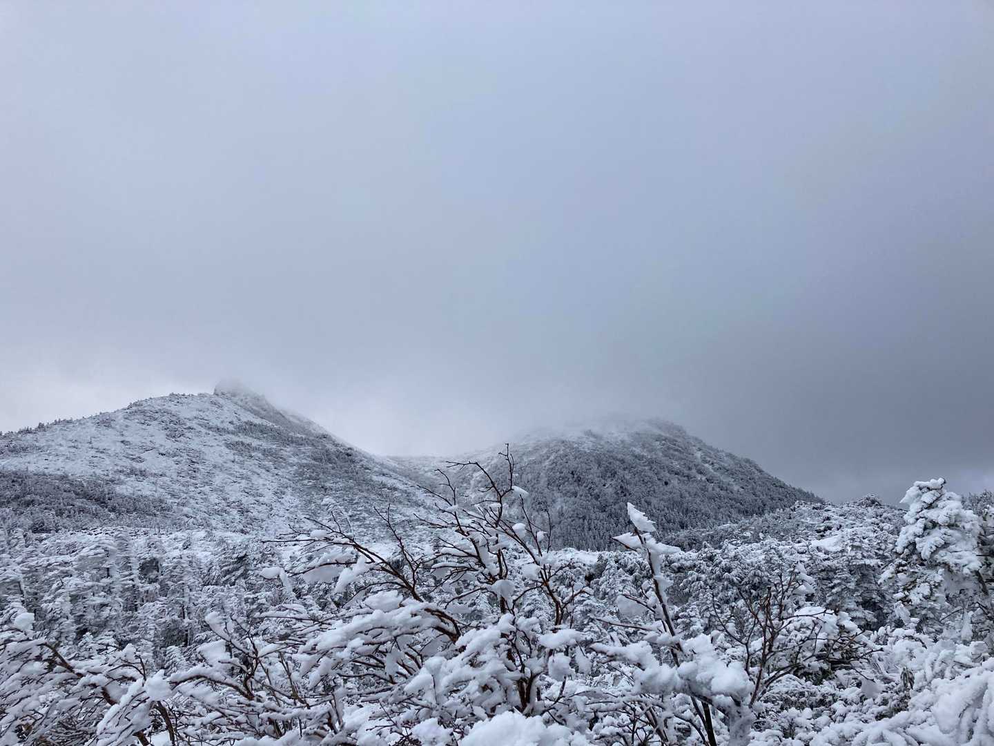 ３回目の雪の天狗岳もガスガスけってーい😂