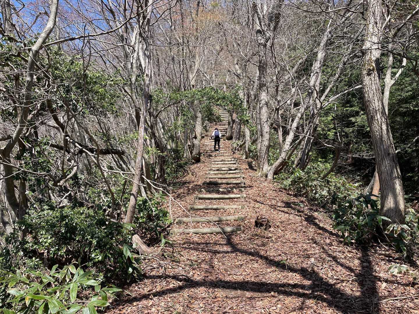 船通山 往復コースの写真