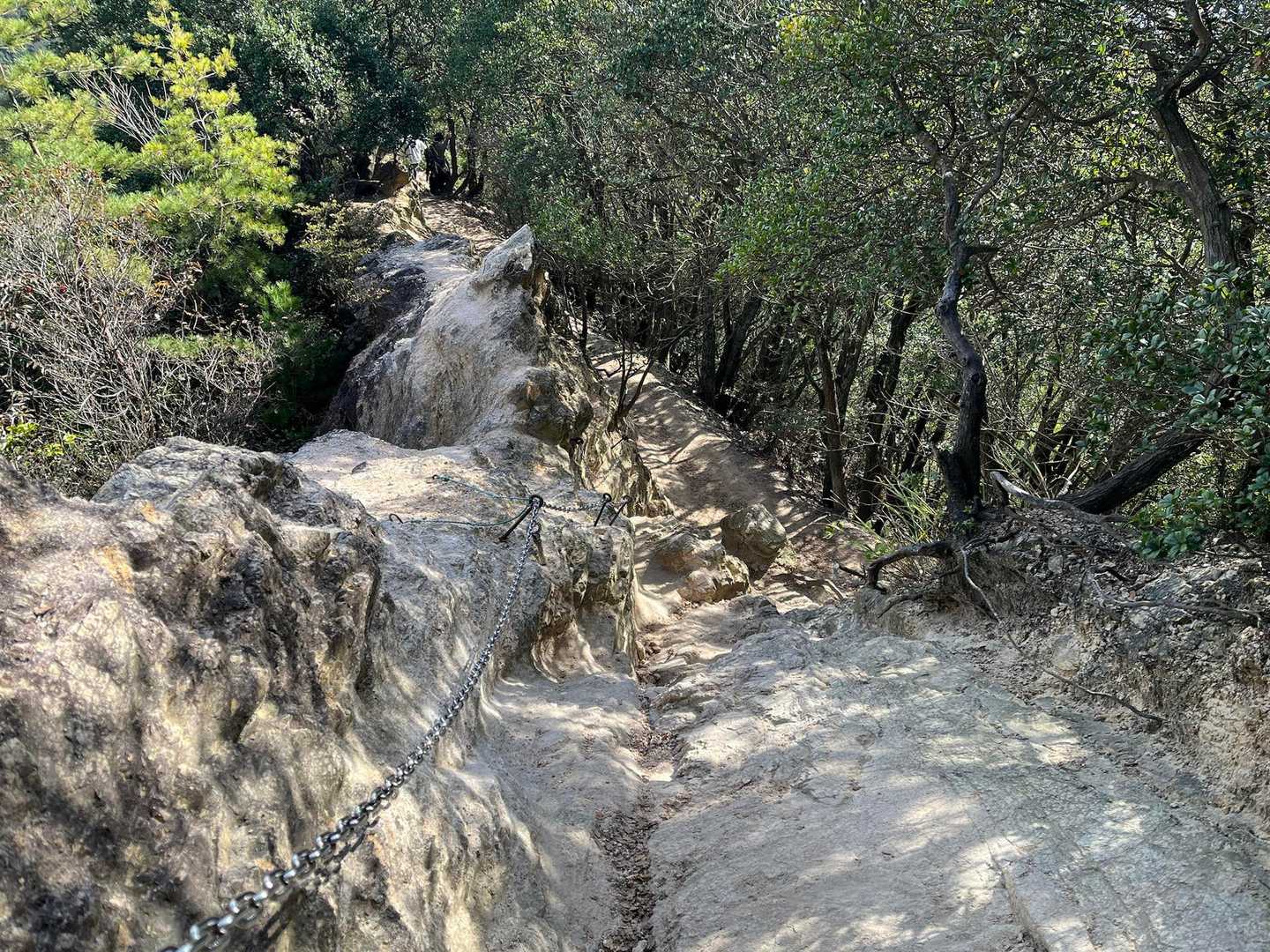 須磨浦公園駅-須磨浦公園駅-須磨浦公園駅前バス停-旗振山- 縦走コースの写真