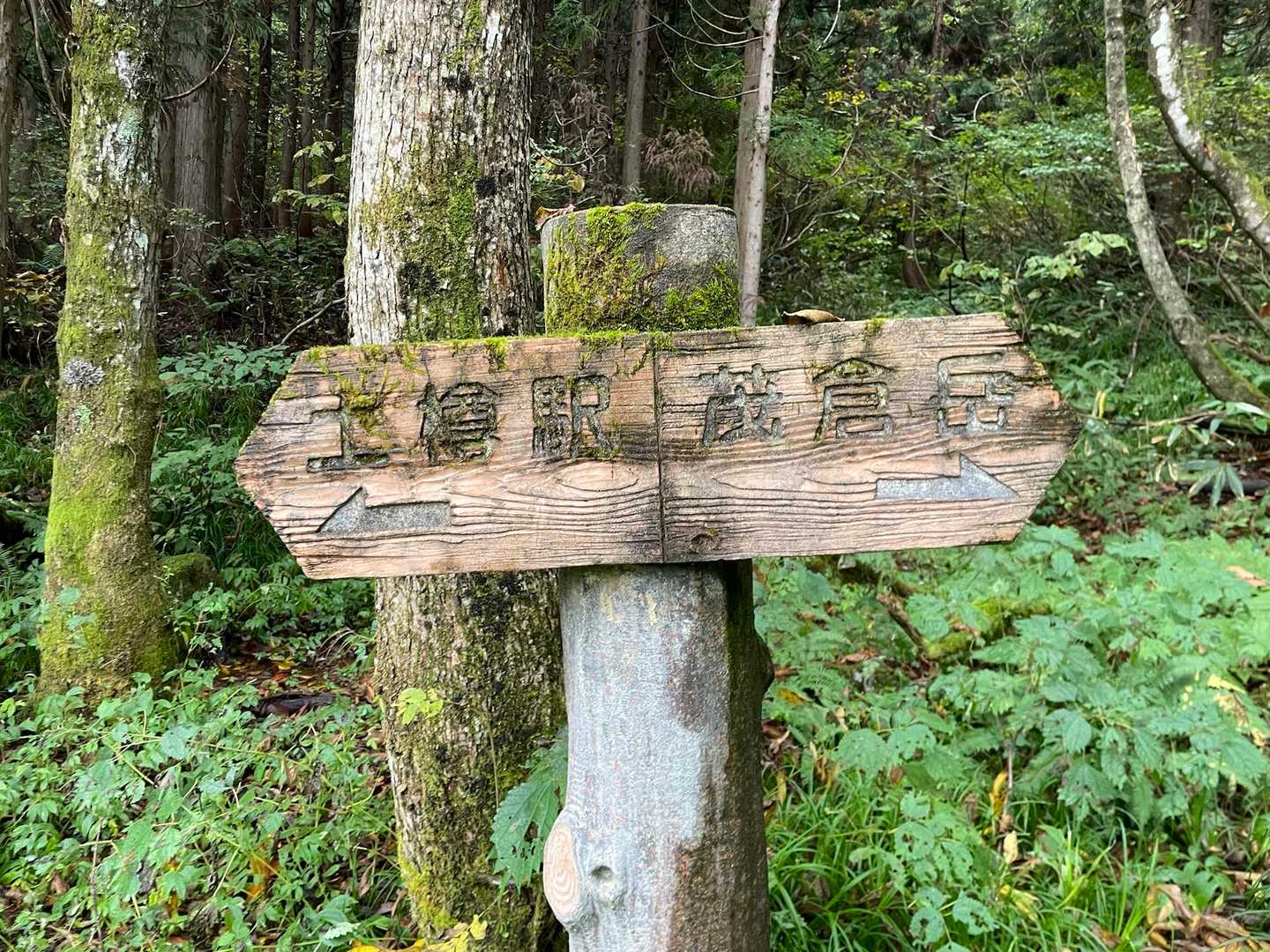茂倉新道恐るべし😫
道幅狭い稜線やウエットな木の根っこ、落ち葉に粘土土…私が足を引っ張ってしまい🚃間に合わないかも😢