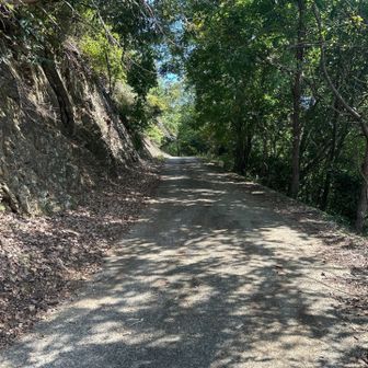 ここからは、サイクリングモードから登山モードにチェンジ☝️