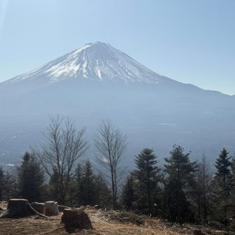でかい！けど、霞んでる