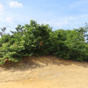 西山山頂