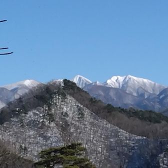 ガキガキしているのが、かっこいい。