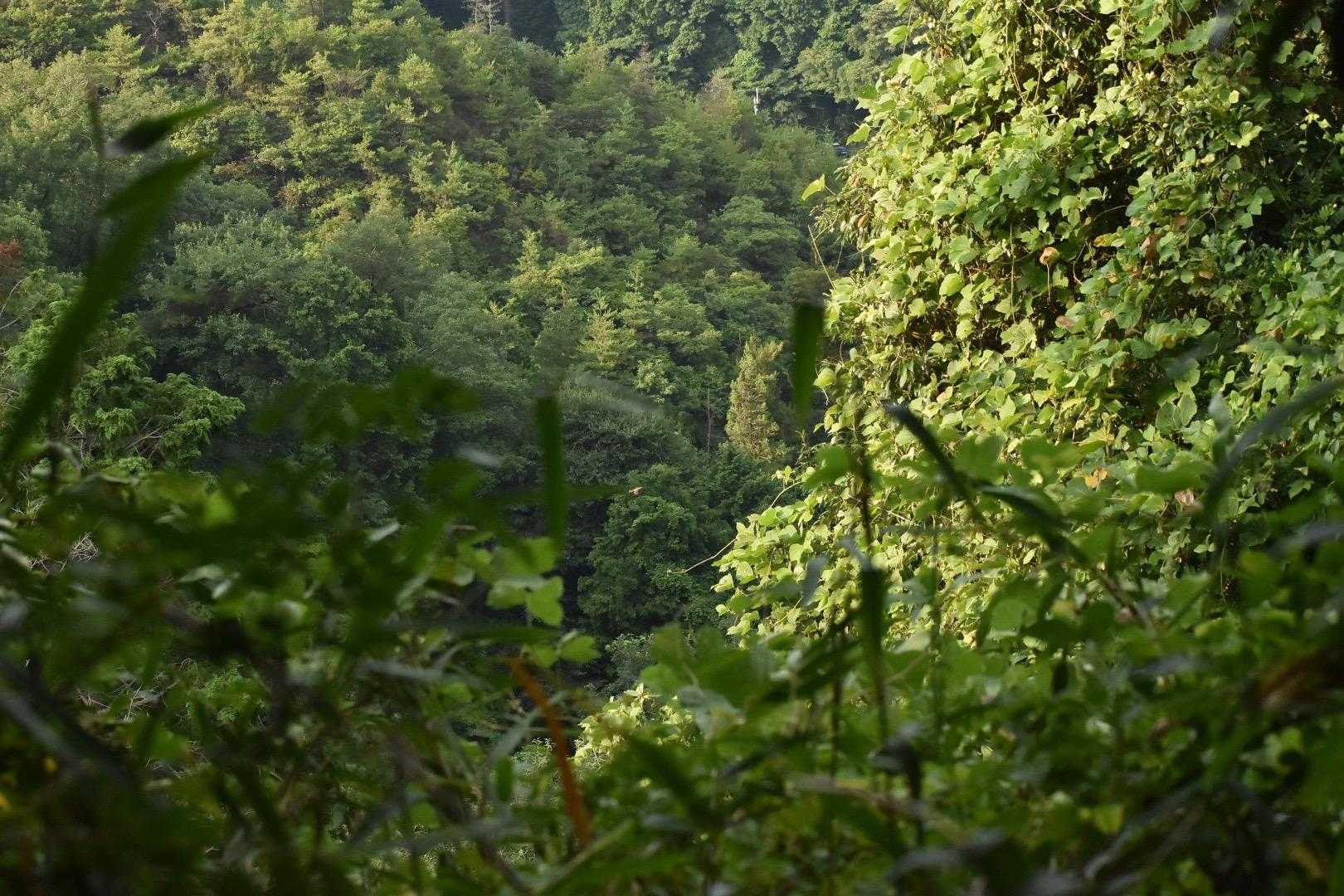 この仕事をしていて思うのは、医療従事者はkindでなくちゃいけないという事。kindには「親切」と「優しい」と2つの意味があるのだけれど、みんな病院にかかる時は優しく親切にされたい、大切に扱ってほしいと思うはずだ（自分だったらそう思う）。なので職員にはkindっていう言葉を意識するように、折り触れて伝えるようにしている。